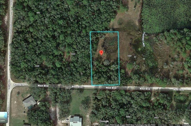 33461 W Blvd, Webster FL, 33597 land for sale