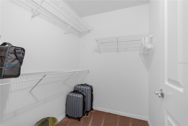 spacious closet featuring radiator heating unit and carpet floors