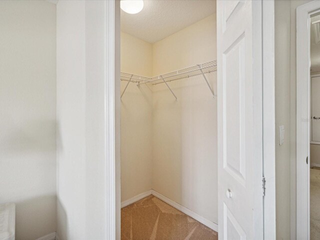 walk in closet featuring carpet flooring