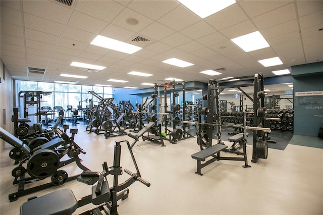 workout area featuring expansive windows and a drop ceiling