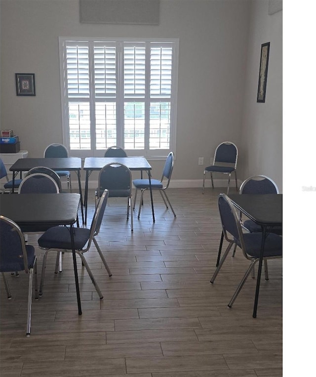 dining space featuring hardwood / wood-style flooring