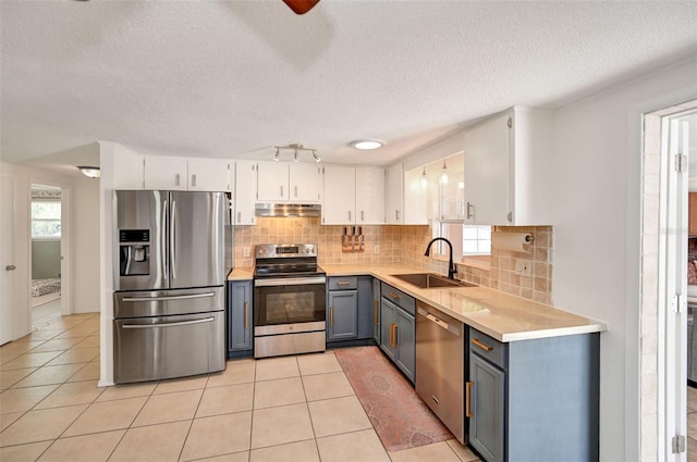 kitchen with gray cabinetry, under cabinet range hood, stainless steel appliances, a sink, and light countertops