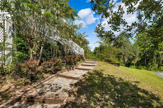 view of home's community featuring a yard