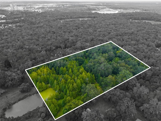 Listing photo 3 for Rain Forest Rd, Brooksville FL 34601