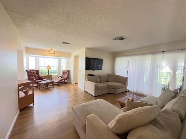 living room featuring hardwood / wood-style flooring and a textured ceiling