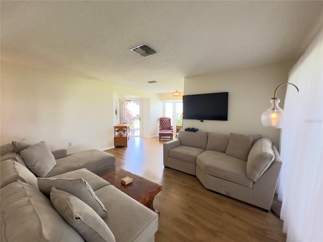 living room with a textured ceiling and wood-type flooring