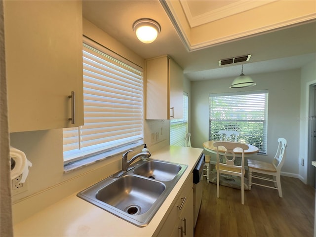 kitchen with dark hardwood / wood-style floors, sink, dishwasher, and decorative light fixtures