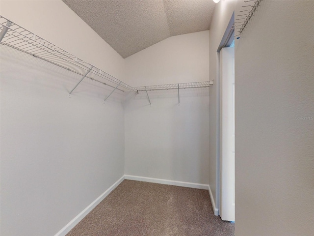 spacious closet with carpet floors and vaulted ceiling