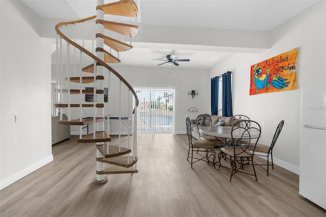 dining area featuring light hardwood / wood-style flooring and ceiling fan