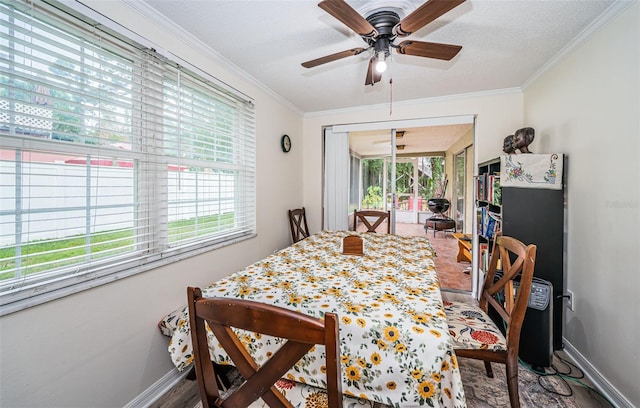 dining area with crown molding, a wealth of natural light, and ceiling fan