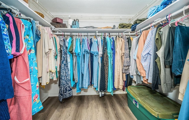 spacious closet with wood-type flooring