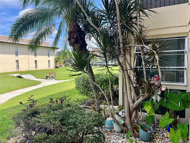 5123 Topaz Ln Unit 105, New Port Richey, FL 34652 - photo 4