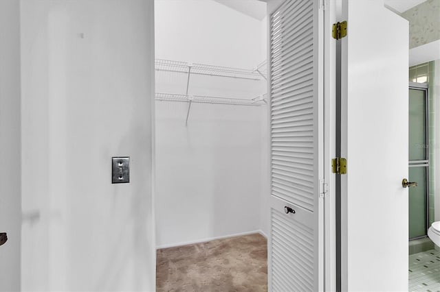 view of walk in closet