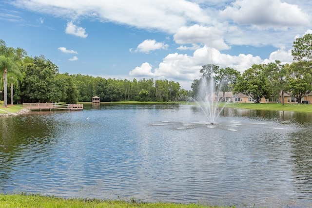 property view of water