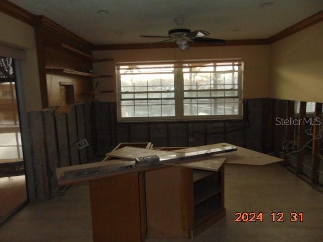 bathroom with crown molding and ceiling fan