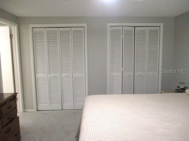 carpeted bedroom with two closets