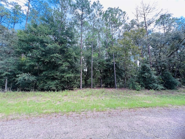 8681 N Wallingford Ave, Citrus Springs, FL 34434