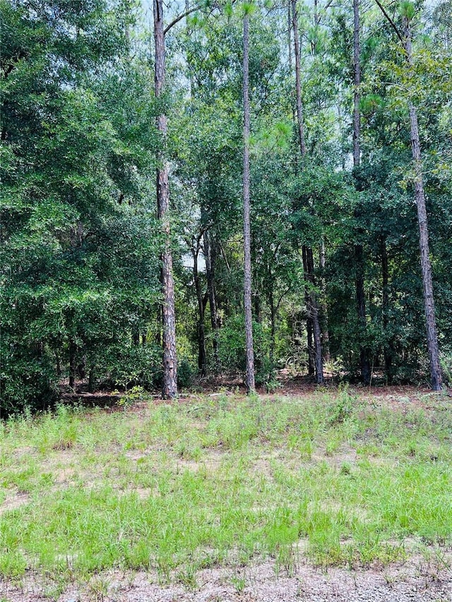 8681 N Wallingford Ave, Citrus Springs, FL 34434