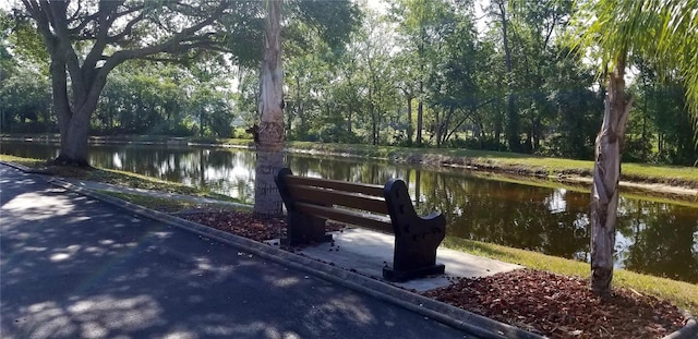 view of community featuring a water view