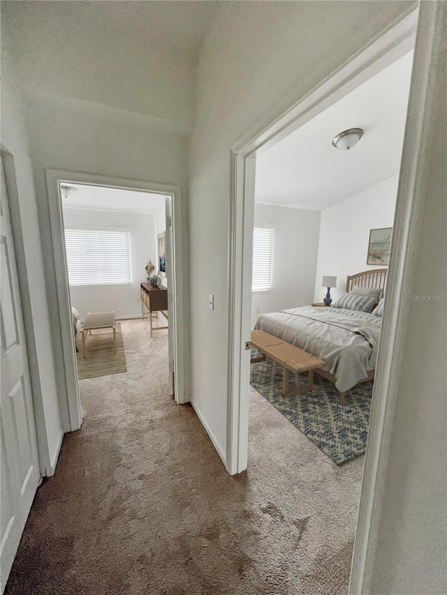 hall with carpet flooring, a wealth of natural light, and a textured ceiling