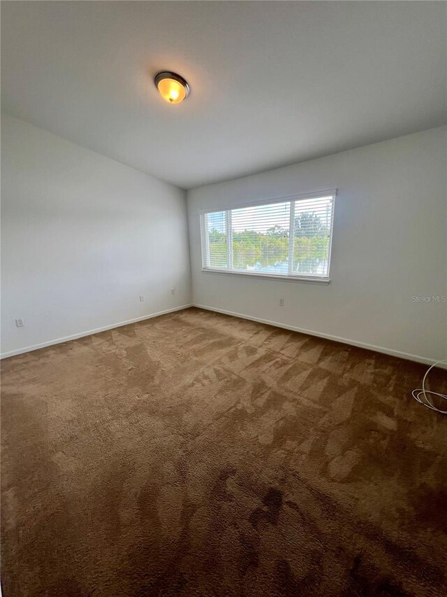 spare room with carpet floors