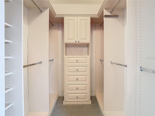 walk in closet featuring carpet flooring