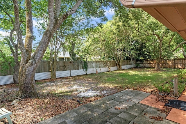 view of yard with a patio and a fenced backyard