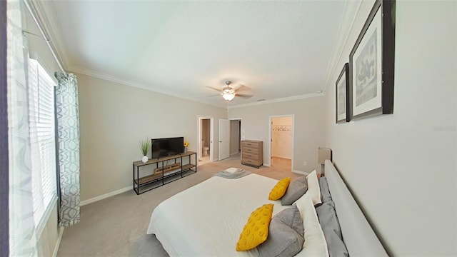 carpeted bedroom featuring a walk in closet, ceiling fan, and crown molding