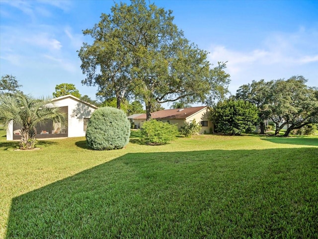 view of yard