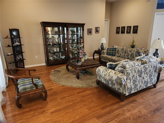 living room with wood-type flooring