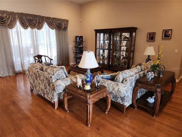 living room with hardwood / wood-style floors