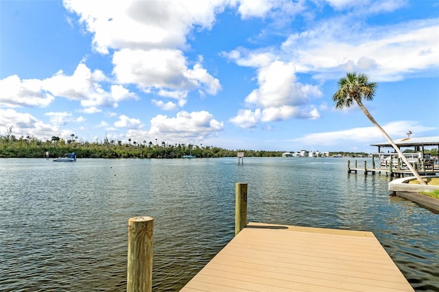 Listing photo 3 for 10708 W Halls River Rd, Homosassa FL 34448