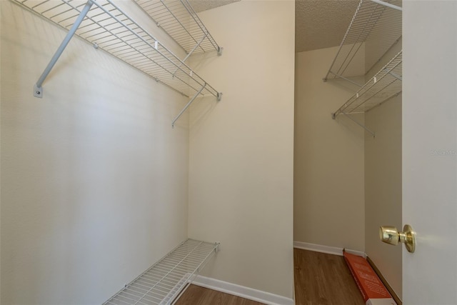 spacious closet featuring dark wood-type flooring