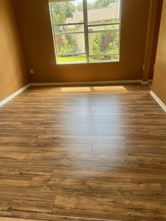 spare room featuring wood-type flooring