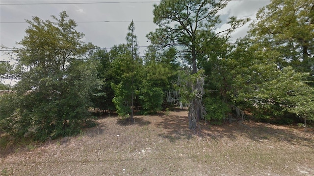 5610 S Kline, Inverness FL, 34452 land for sale