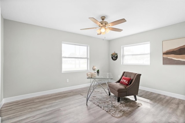 living area featuring a wealth of natural light, light hardwood / wood-style flooring, and ceiling fan