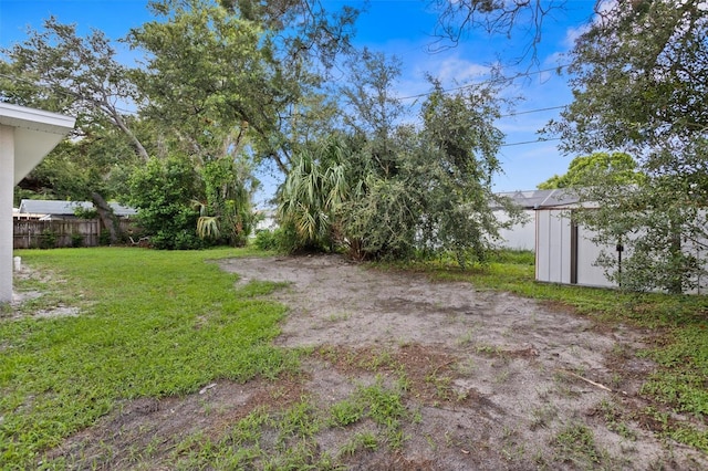 view of yard with a storage shed