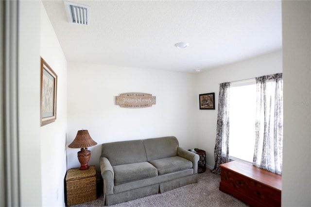 carpeted living room featuring a textured ceiling