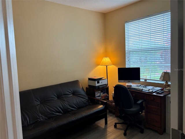 office with light hardwood / wood-style flooring