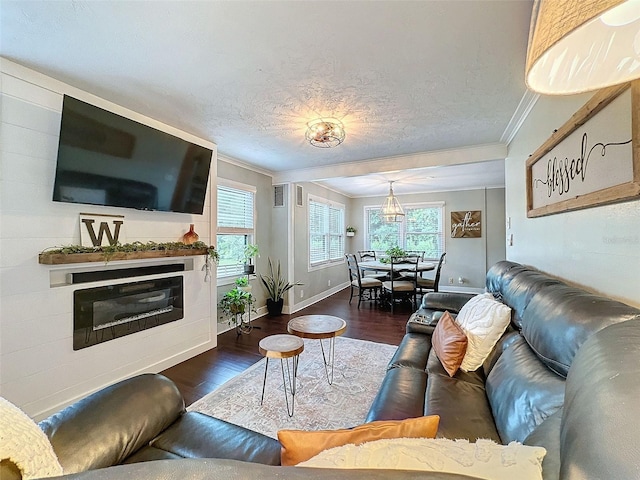 living room featuring ornamental molding, dark wood-type flooring, and a textured ceiling