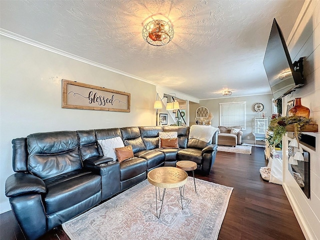 living room featuring dark wood-type flooring, crown molding, and a textured ceiling