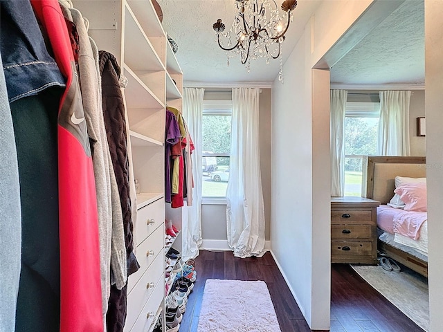 spacious closet with dark hardwood / wood-style flooring and a notable chandelier