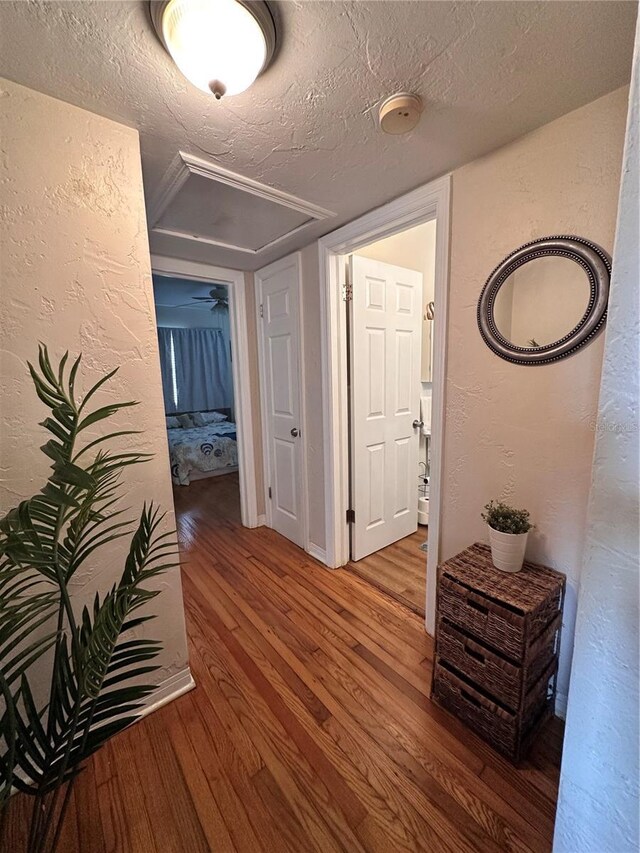 800 61st St N, Saint Petersburg, FL 33710 - photo 18