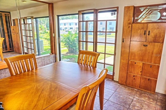 dining space with a wealth of natural light