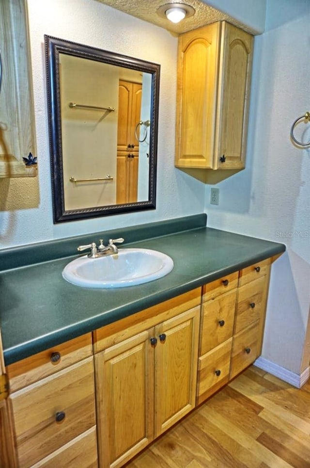 bathroom with vanity and wood-type flooring