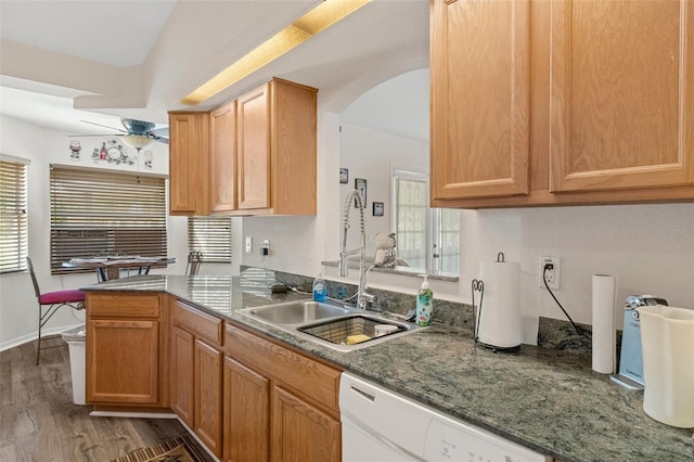 kitchen featuring white dishwasher, sink, plenty of natural light, and dark hardwood / wood-style floors