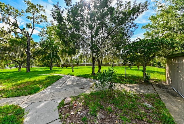 surrounding community featuring a yard