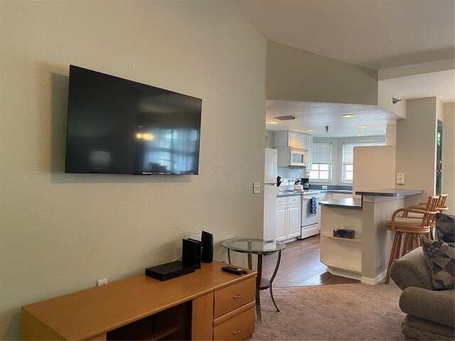 living room featuring a textured ceiling and light hardwood / wood-style flooring