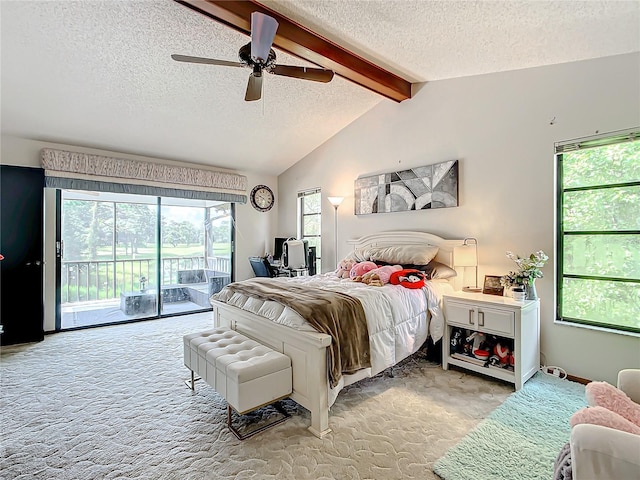 57 Golfview Ct, Homosassa, FL 34446 - photo 39