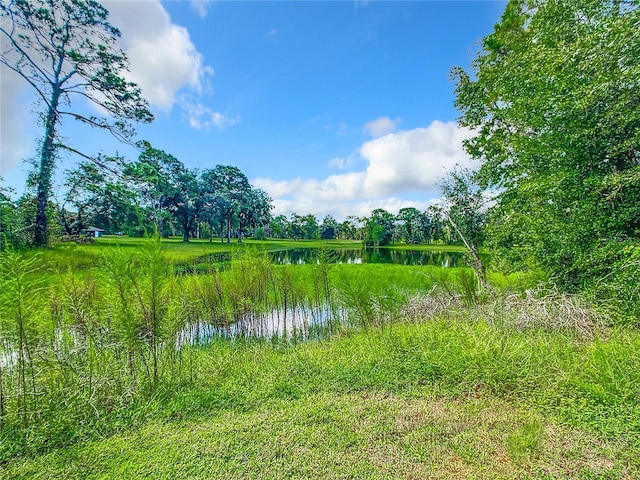 57 Golfview Ct, Homosassa, FL 34446 - photo 69